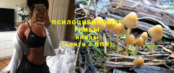 первитин Новодвинск
