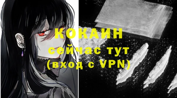 ГАЛЛЮЦИНОГЕННЫЕ ГРИБЫ Новозыбков