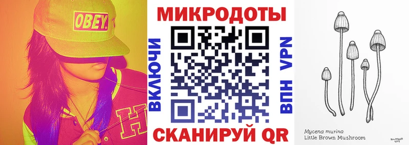 где можно купить   гидра онион  Галлюциногенные грибы мицелий  Шали 