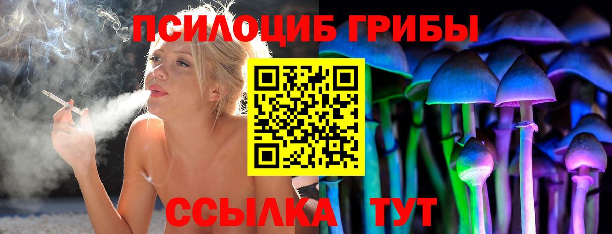 Псилоцибиновые грибы мицелий Шали